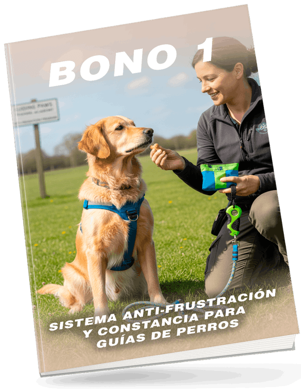 Bono 1