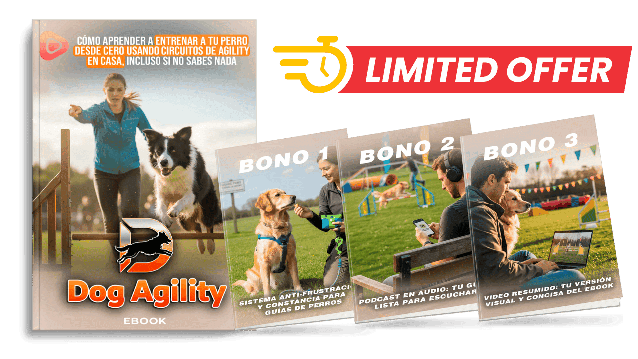 Pack Dog Agility Completo