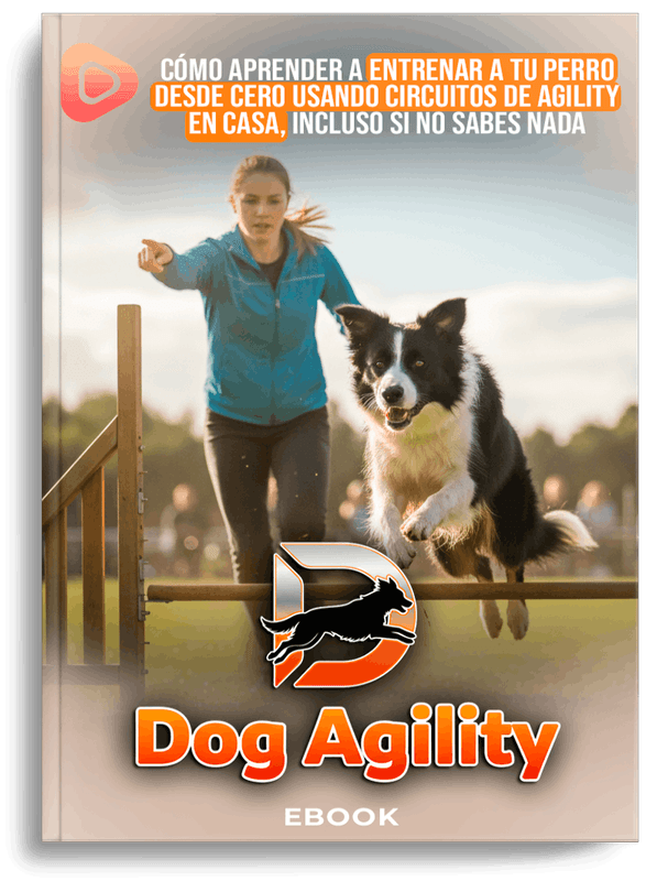 Entrenamiento de agility