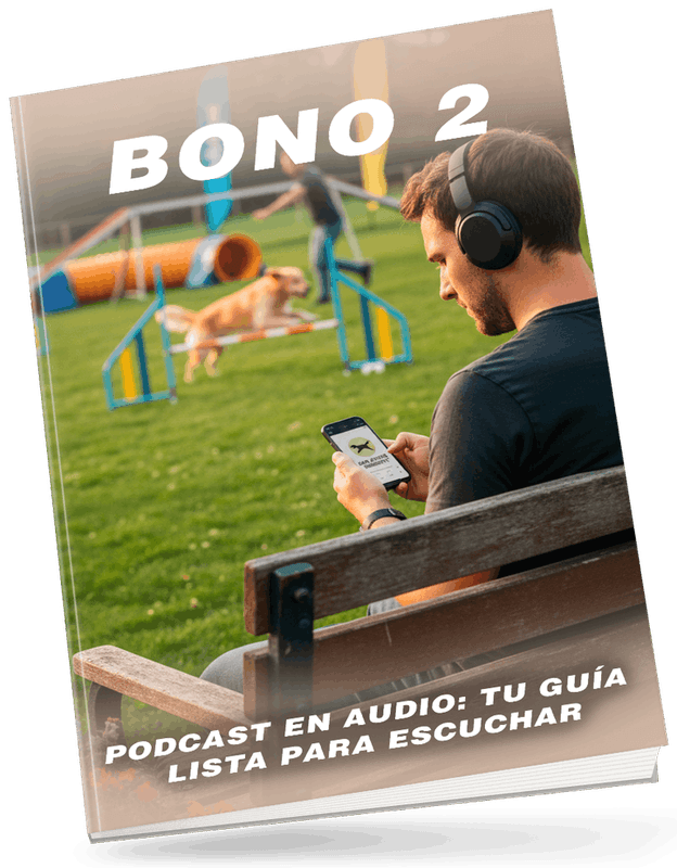 Bono 2