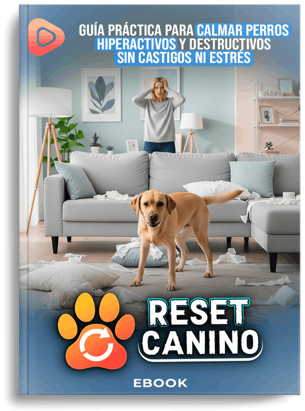 Reset Canino Método