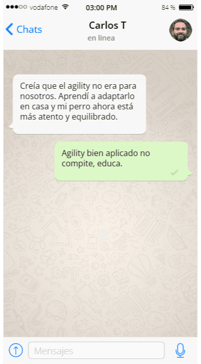 Testimonio tutor 1